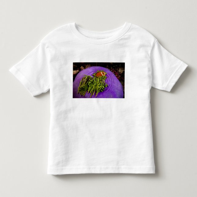 Camiseta Anemonefish e grande anêmona (Frente)