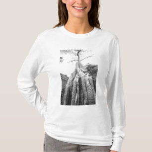 Camiseta Angkor Camboja, Árvore Ta Prohm
