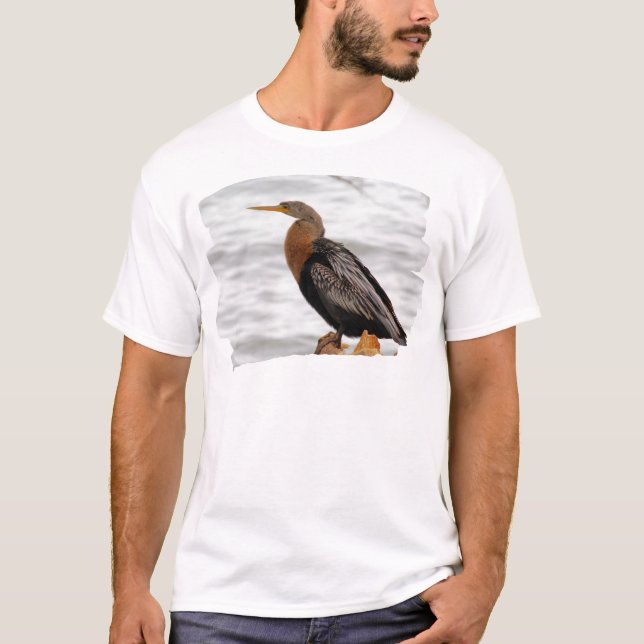 Camiseta Anhinga Sobre A Pesquisa (Frente)