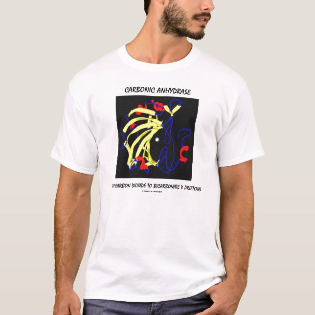 Camiseta Anidrose carbónica (enzima da bioquímica) (Frente)