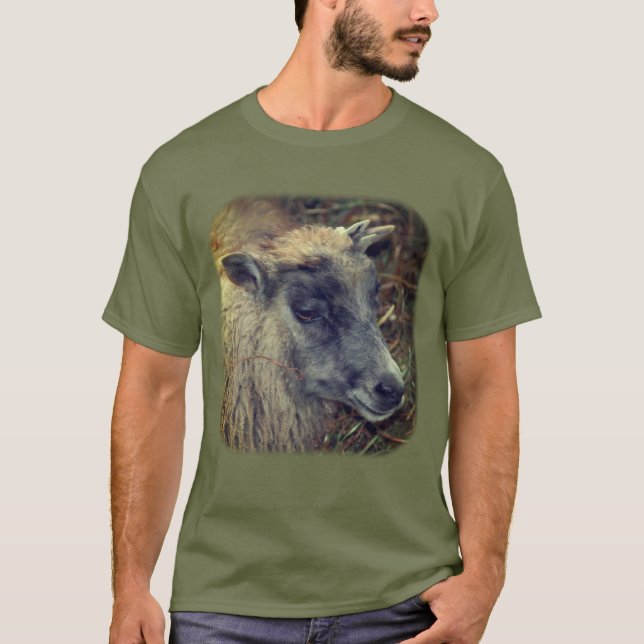 Camiseta Animais de Fazenda de Ovelha (Frente)