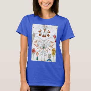 Camiseta Animais Marinhos Antigos, Copepoda por Ernst Haeck