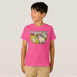 Camiseta Aniversário de 5 do garoto hoje eu tenho cinco! Va