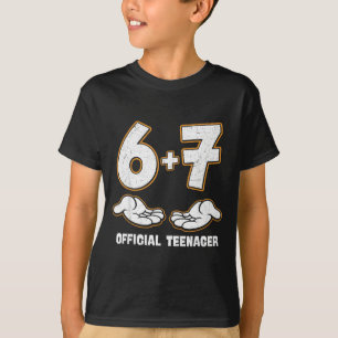 Camiseta aniversário de 6 7 adolescente de 13 anos aniversá