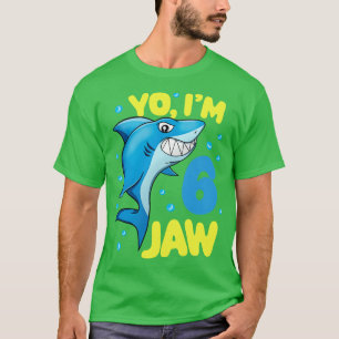 Camiseta Aniversário de 6 anos engraçado meninos crianças