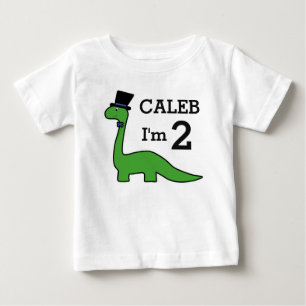 Camiseta Aniversário do Dinossauro Bonito Personalizar Nome