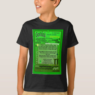 CAMISETA ANIVERSÁRIO DOS GÊMEOS