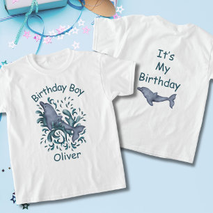 Camiseta Aniversário Garoto / É minha Festa de aniversário