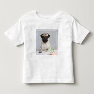 Camiseta Aniversário Pug