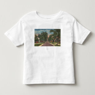 Camiseta Anna Maria, Florida - vista das palmas ao longo da