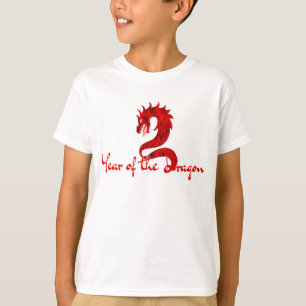 CAMISETA ANO DO DRAGÃO