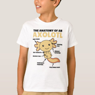 Camiseta Anotação Axolotl Anatomia De Um Axolotl