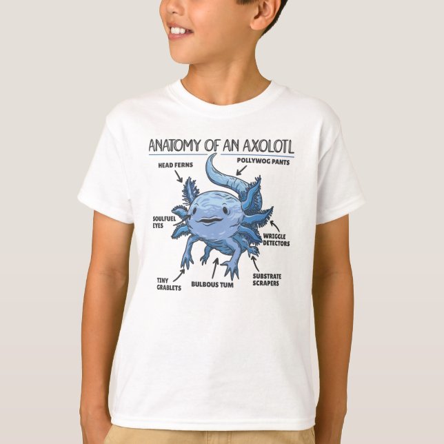 Camiseta Anotação Axolotl Anatomia De Um Axolotl (Frente)