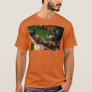 Camiseta Ant Farming Treehoppers
