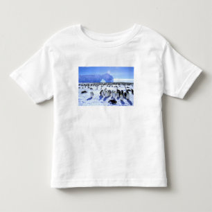 Camiseta Antártica, Península Antártica, Mar de Weddell, 5