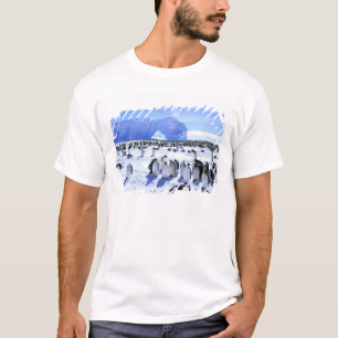 Camiseta Antártica, Península Antártica, Mar de Weddell, 5