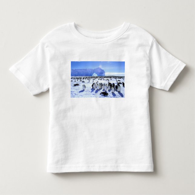 Camiseta Antártica, Península Antártica, Mar Weddell, 5 (Frente)