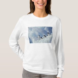 Camiseta Antártica. Pinguins addeliados