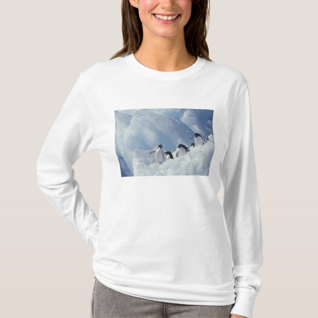 Camiseta Antártica. Pinguins addeliados (Frente)