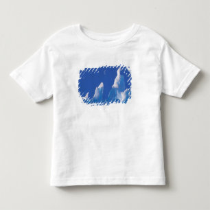 Camiseta Antártica, Território Antártico Australiano.