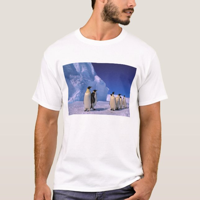 Camiseta Antártica, Território Antártico Australiano, 7 (Frente)