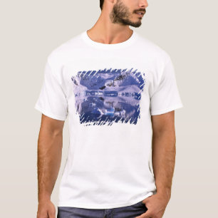 Camiseta Antártida, Baía do Paraíso