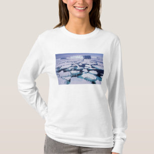 Camiseta Antártida, Fluxo de gelo.