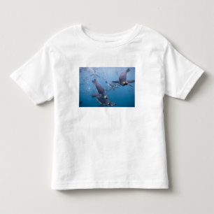Camiseta Antártida, Ilha da Geórgia do Sul (Reino Unido), 2