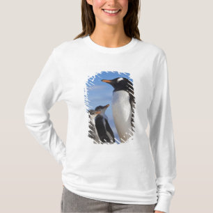 Camiseta Antártida, Neko Cove (Porto). Pinguim-de-gentes 2