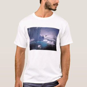 Camiseta Antártida. Paisagens de gelo antárticas 2