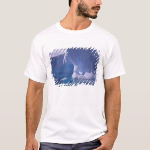 Camiseta Antártida. Paisagens de gelo antárticas 3