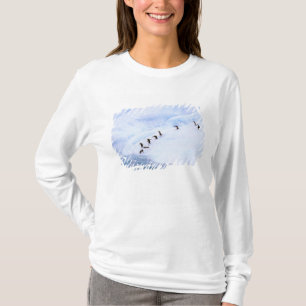Camiseta Antártida, Península Antártica. Pinguim-de-barbich