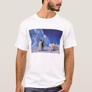 Camiseta Antártida, Território Antártico Australiano, 7