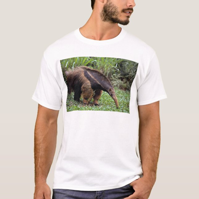 Camiseta Anteater gigante (tridactyla do Myrmecophaga) (Frente)