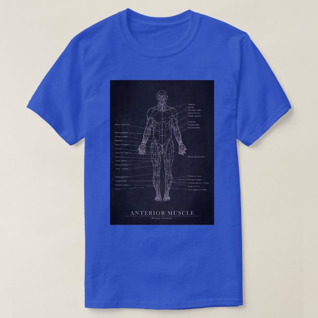 Camiseta Anterior Muscle Human Anatomy Blueprint Art (Frente do Design)