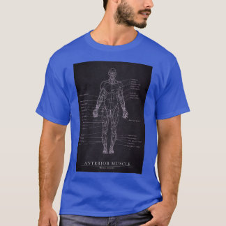 Camiseta Anterior Muscle Human Anatomy Blueprint Art