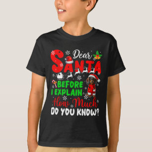 Camiseta Antes De Explicar O Quanto Conhece O Xmas Dachshun