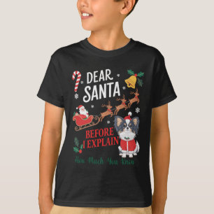 Camiseta Antes De Explicar O Quanto Conhece Xmas Papillon O