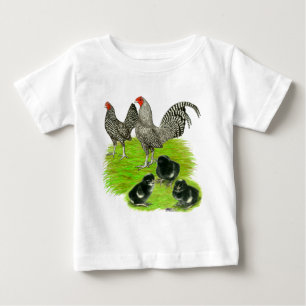 Camiseta Antiga família Barred Bantam Inglesa