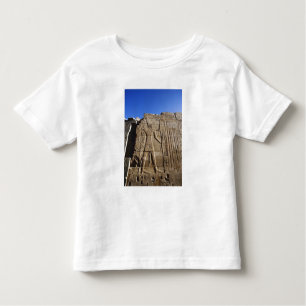 Camiseta Antigos hieróglifos na parede, Templo de Karnak,