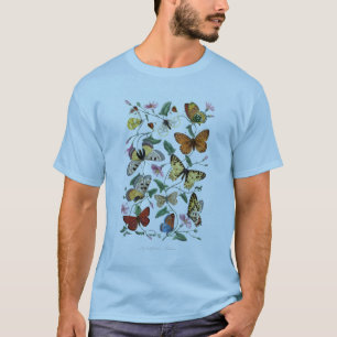 Camiseta Antiguamente Paul Gervais Borboleta História Natur
