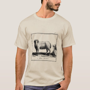 Camiseta Antique Merino Sheep