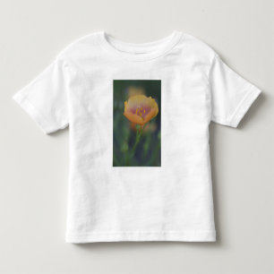 Camiseta Ao sul de Devine Texas ao longo da Interestadual 3