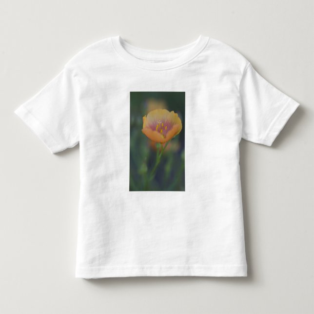 Camiseta Ao sul de Devine Texas ao longo da Interestadual 3 (Frente)