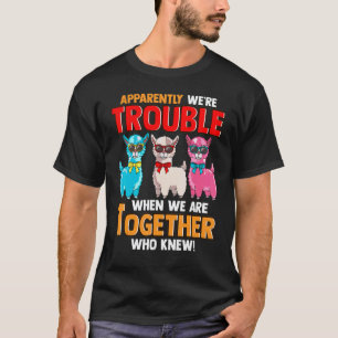 Camiseta Aparentemente Damos Problemas Quando Estamos Junto