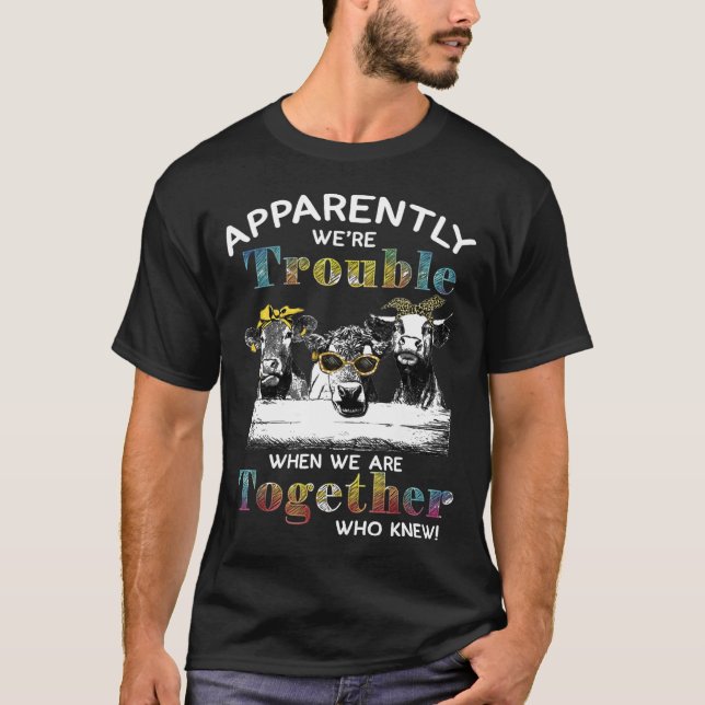 Camiseta Aparentemente Éramos Problema Quando Estamos Junto (Frente)