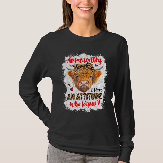Camiseta Aparentemente Eu Tenho Uma Atitude Quem Sabe Desco (Frente)