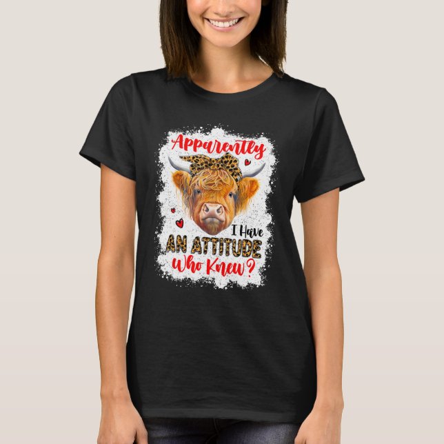 Camiseta Aparentemente Eu Tenho Uma Atitude Quem Sabe Desco (Frente)