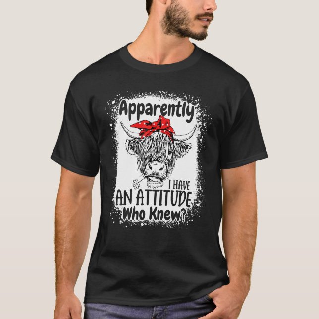 Camiseta Aparentemente Eu Tenho Uma Atitude Quem Sabe Desco (Frente)