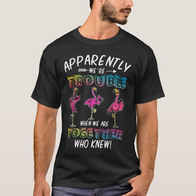 Camiseta Aparentemente somos problemáticos quando estamos j (Frente)